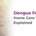 Dengue Fever Recovery: Home Care Tips & Symptoms Explained