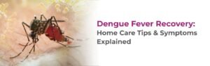 Dengue Fever Recovery: Home Care Tips & Symptoms Explained