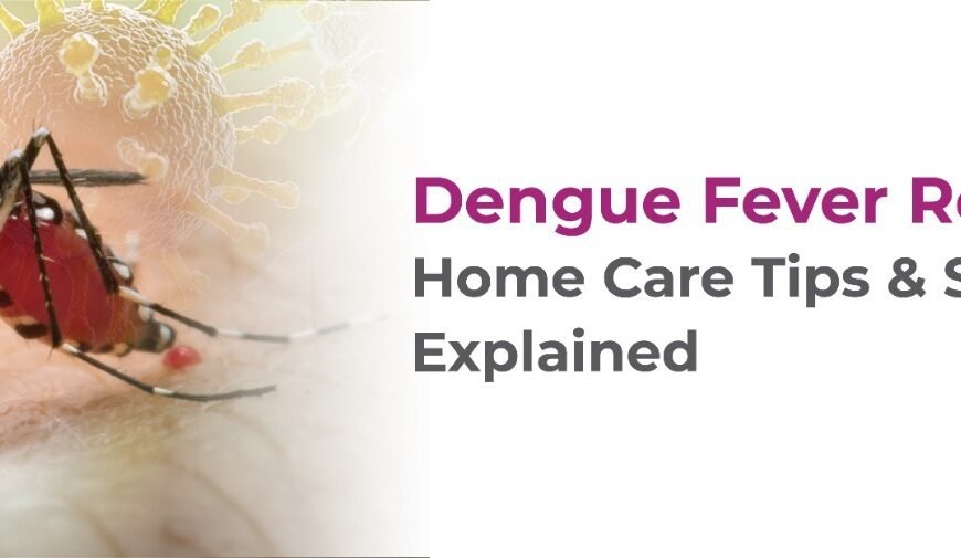 Dengue Fever Recovery: Home Care Tips & Symptoms Explained